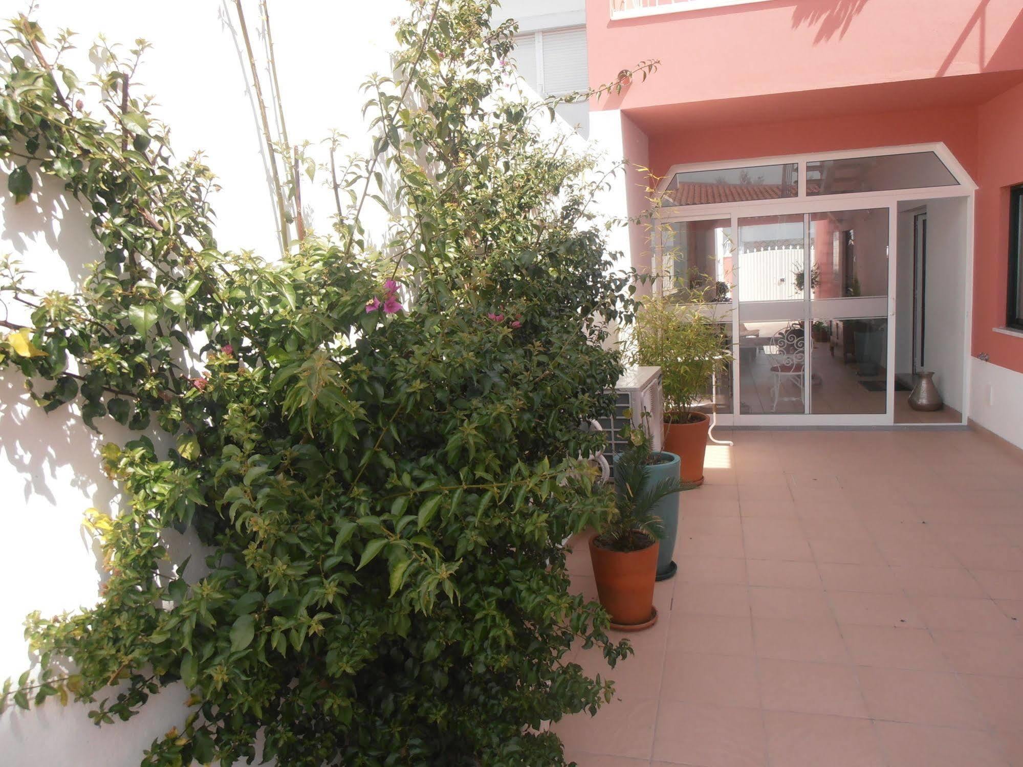 Casa Morgados - Grandola Guesthouse Exteriér fotografie
